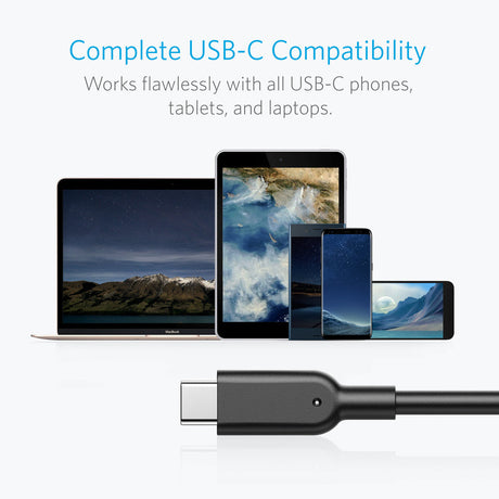Anker PowerLine II USB-C to USB 3.1 Cable (3 ft)