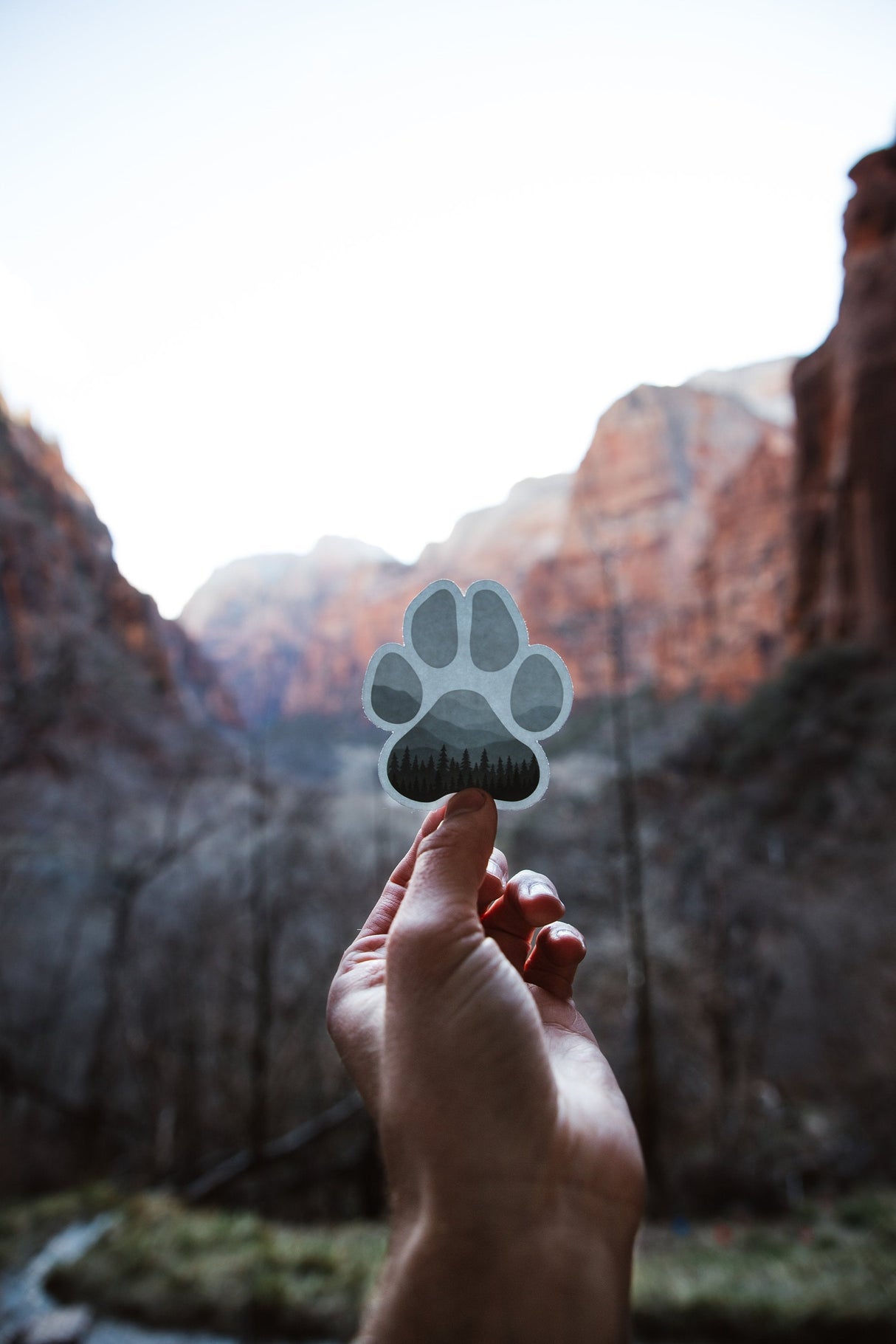 Adventure Paw Sticker