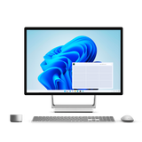 BirdDog VideoWall Software