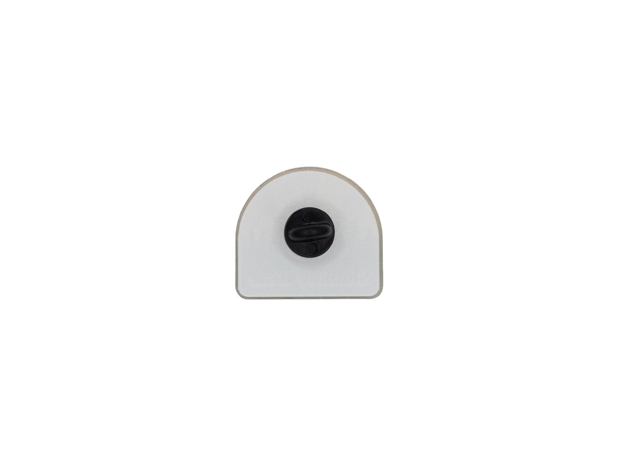Smokey Bear Acrylic Pin