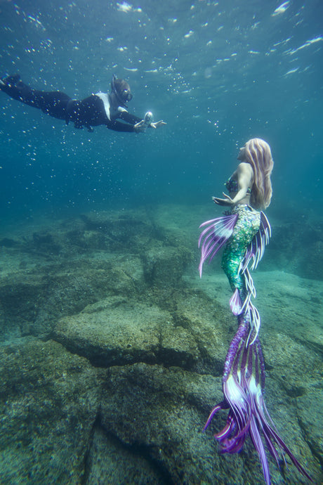 Outex Underwater Camera Housings Phone Pro Kit