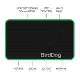 BirdDog Flex 4K IN