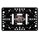 Intersex Plate
