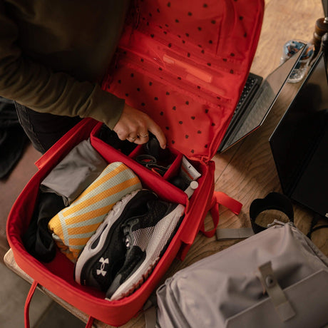 Langly Co Sierra Backpack