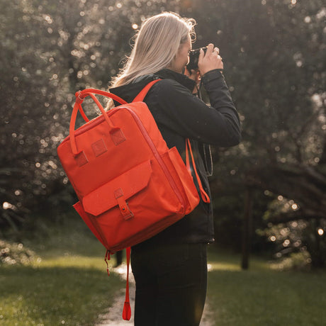 Langly Co Sierra Backpack