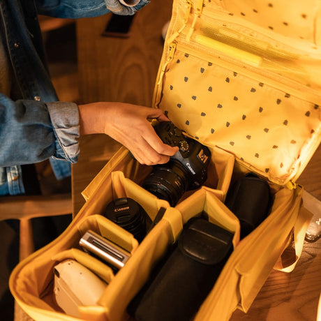 Langly Co Sierra Backpack