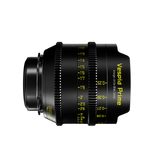 Vespid Prime T2.1 FF/VV