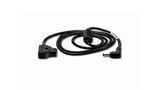 P-TAP to 5.5/2.5mm DC Male Cable
