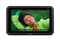 Video Monitors & Viewfinders