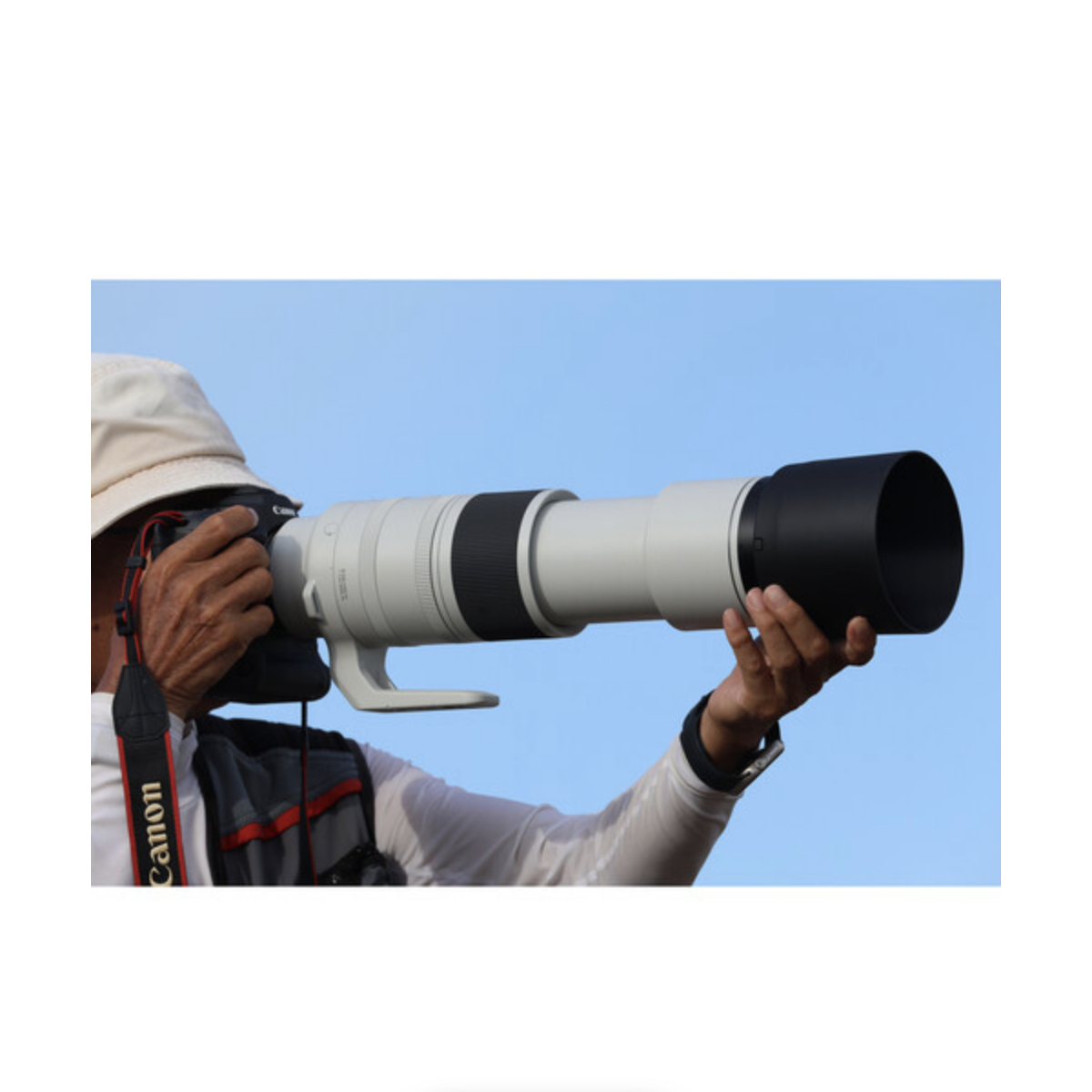 Canon RF 200-800mm f/6.3-9 IS USM Lens
