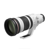 Canon RF 100-300mm f/2.8 L IS USM Lens