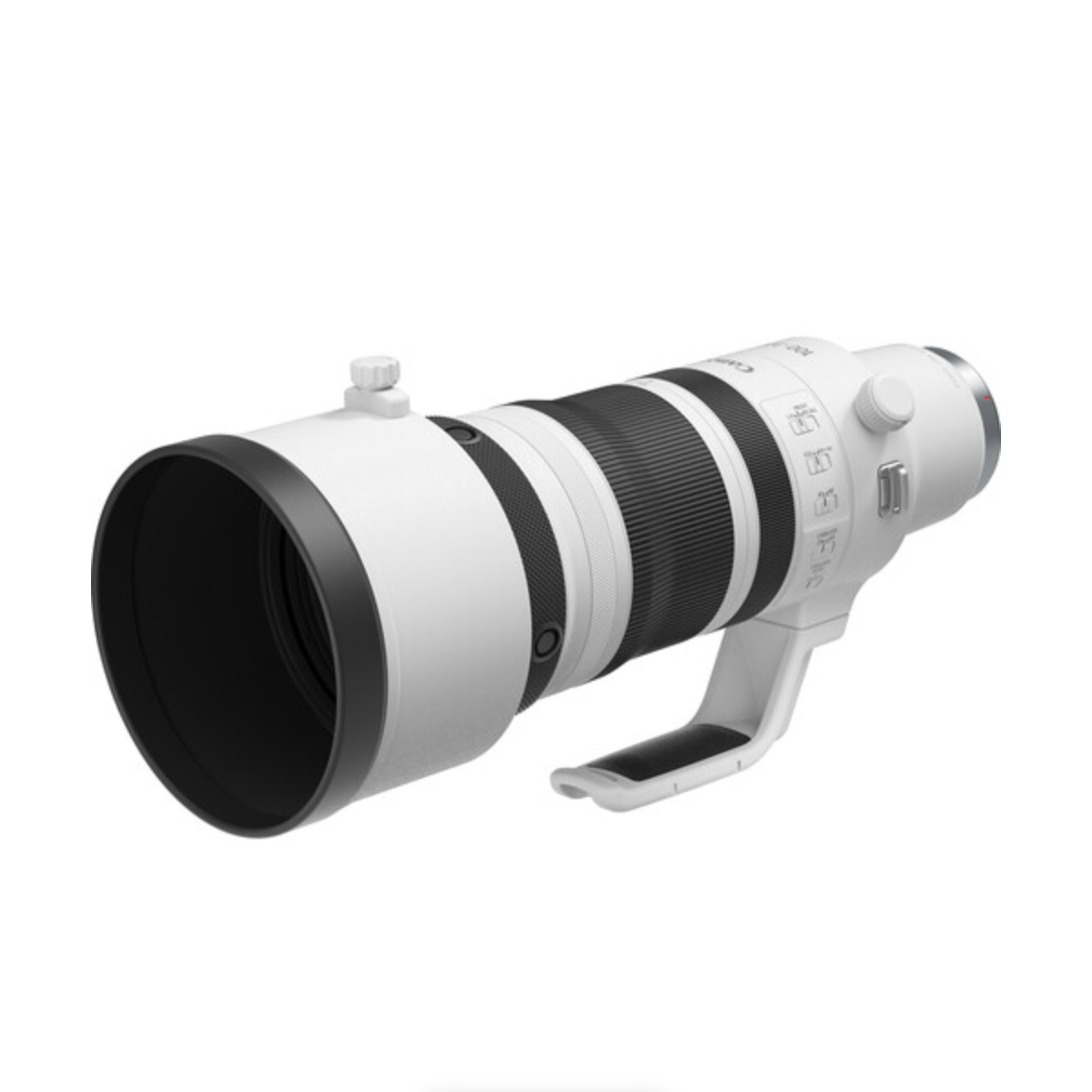 Canon RF 100-300mm f/2.8 L IS USM Lens
