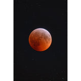 Vixen SD81S FPL-53 ED Refractor Telescope