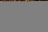 Western Landscape Neck Lanyard