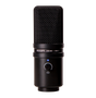Zoom ZUM-2 USB Microphone