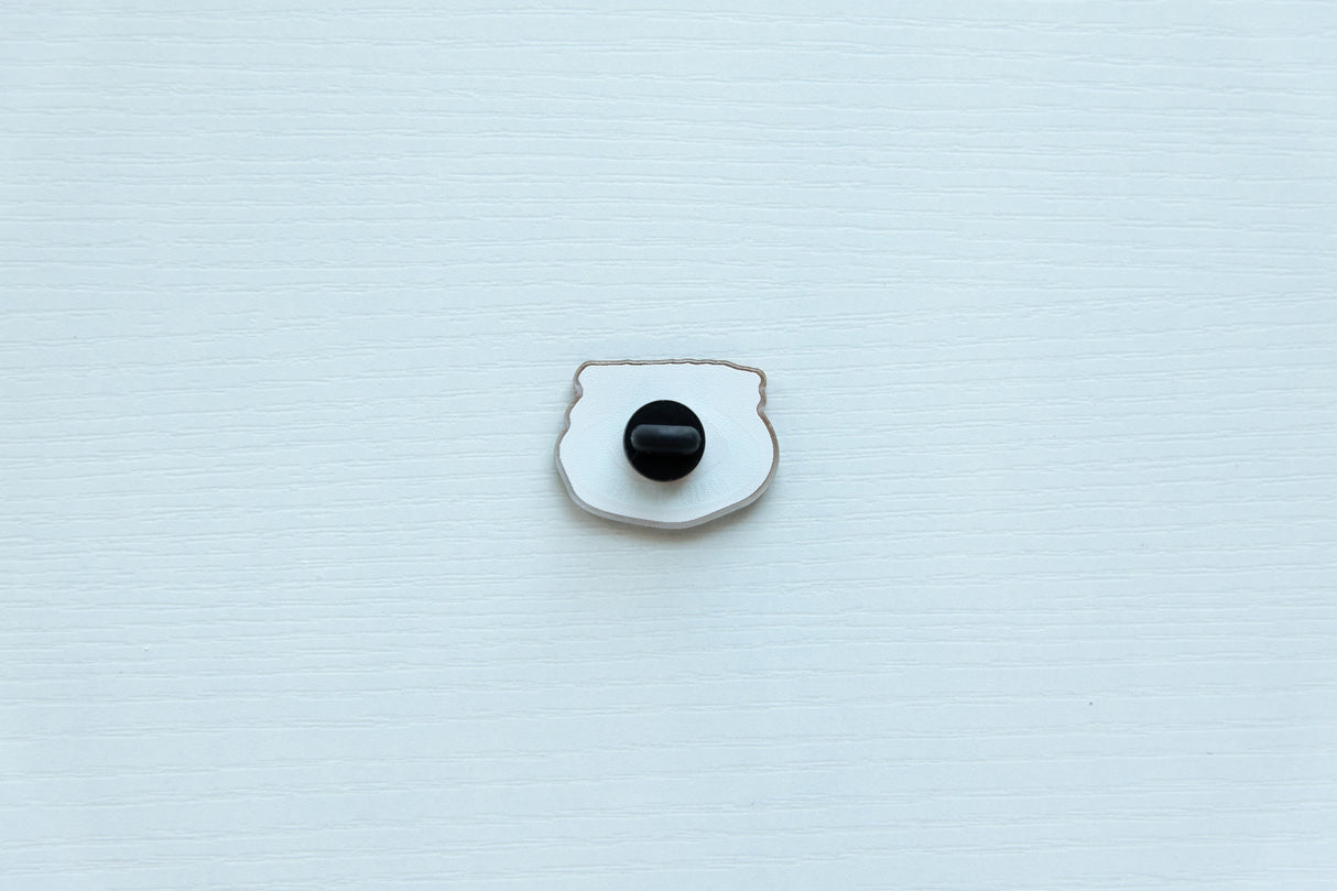Horseshoe Bend Acrylic Pin