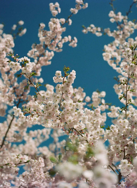 Ektacolor Pro 160 sample photo 2