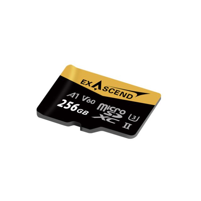 Exascend CATALYST microSDXC UHS-II V60 Memory Card (256GB)