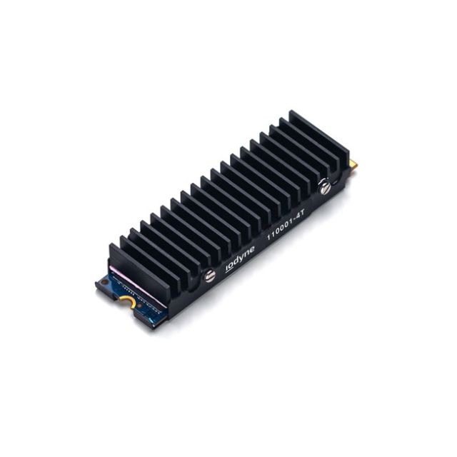 Iodyne 48Tb Pro Data Spare Ssd ModULe (4Tb)