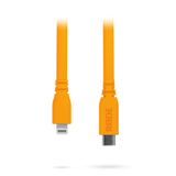 SC19 Cable