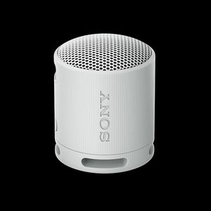 Sony SRS-XB100 Compact Bluetooth Speaker (Gray)