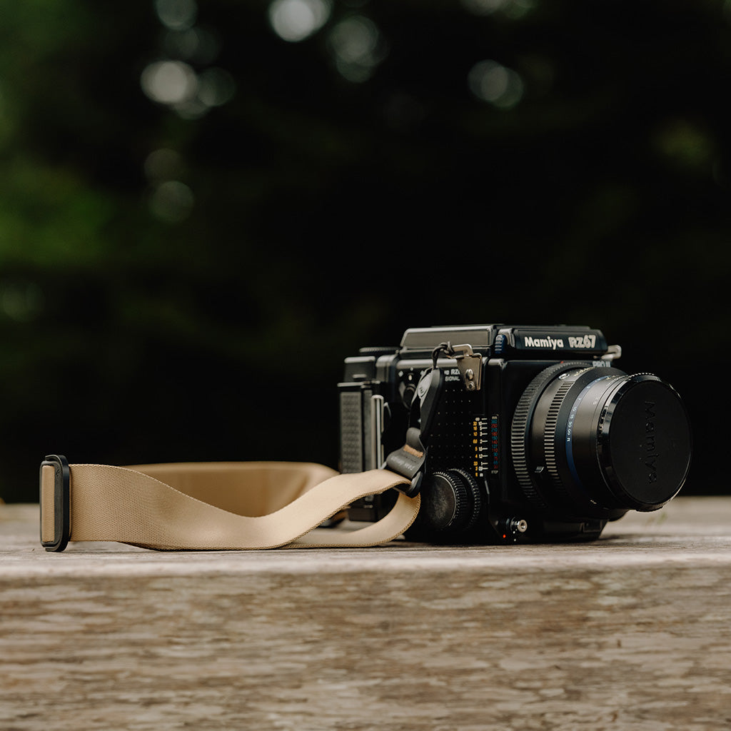 Slide | Coyote