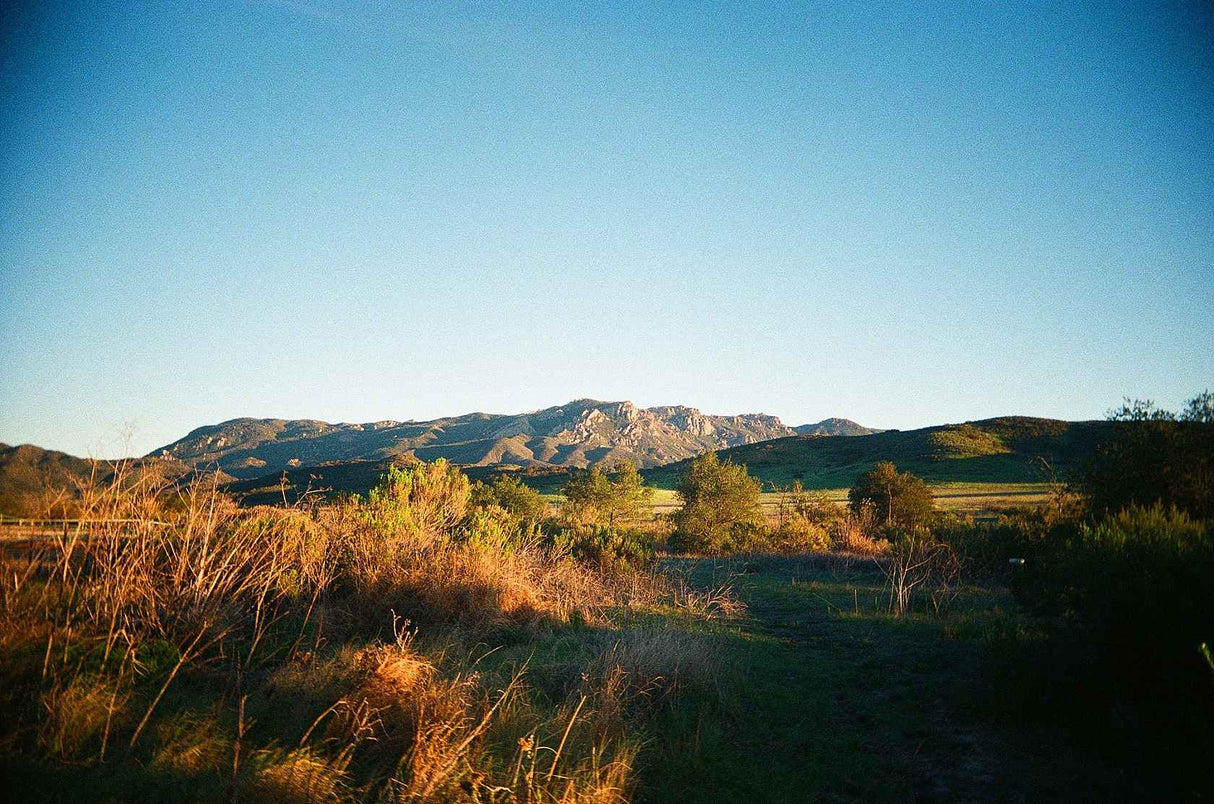 Kodak Ultra Max 400 sample photo 3